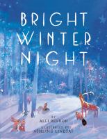 Bright Winter Night book cover